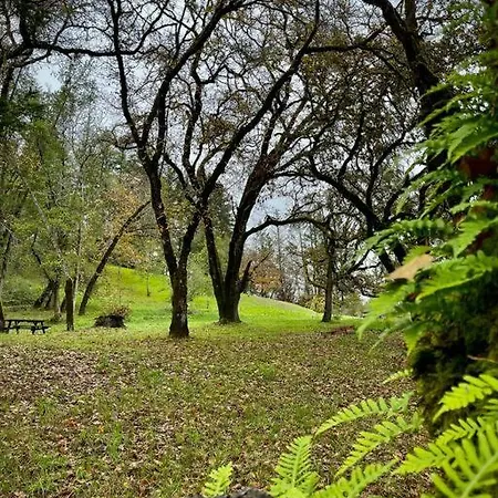 Avenue Of The Giants Pepperwood Place Miranda Exterior foto