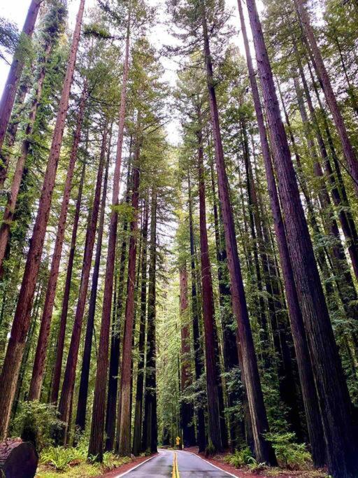 Avenue Of The Giants Pepperwood Place Holiday home