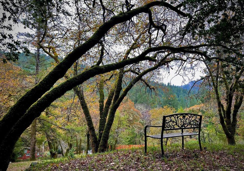 Avenue Of The Giants Pepperwood Place Holiday home